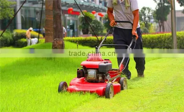 VLAIS gasoline garden tool lawn mover for lower price