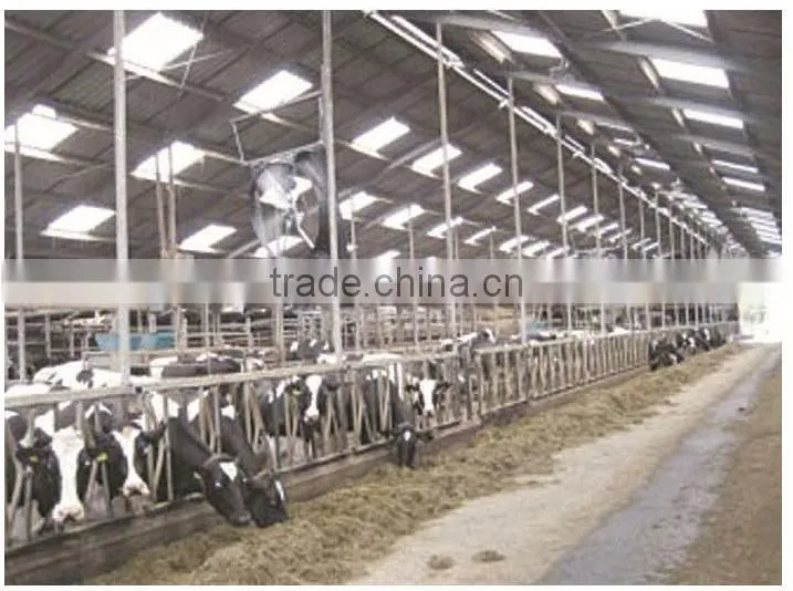 Centrifugal shutter style fan for greenhouse,cow house