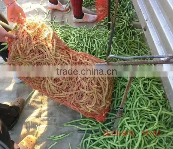 Packing Pe Garlic Mesh Bag