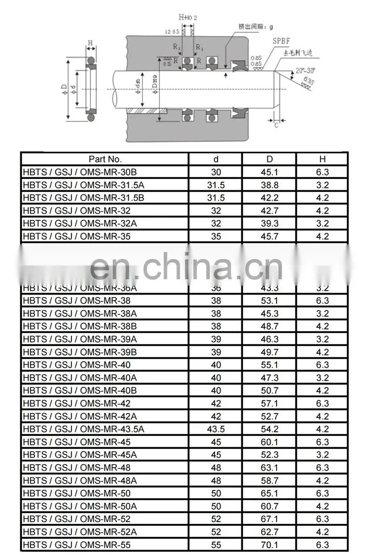 China Manufacturer Hydraulic Cylinder Rod Rubber PTFE HBTS STD Rod Step Seal GSJ Seal