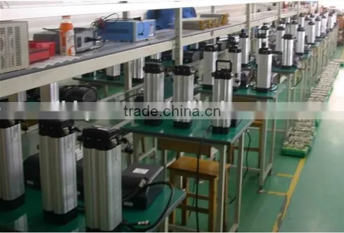 48V LiFePO4 Battery,48V LIFEPO4 EBIKE BATTERY,48V LiFePO4 Electric Bike Battery,48V LIFEPO4 Silver Fish Battery,LiFePO4 48V Bike