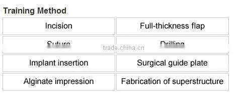 Typodont Orthodontic Model for Practicing teeth model factory