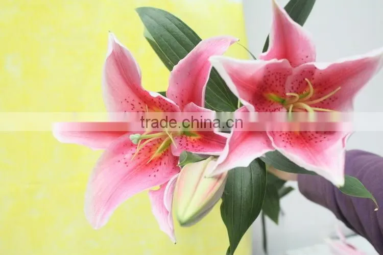 Most popular best selling lilies real touch
