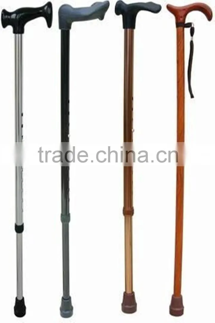 Walking Stick