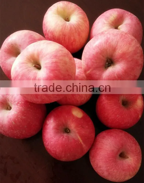 fuji apples Fresh Fuji Apple