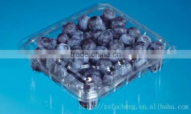 PET Fruit Container, Small Salad Container