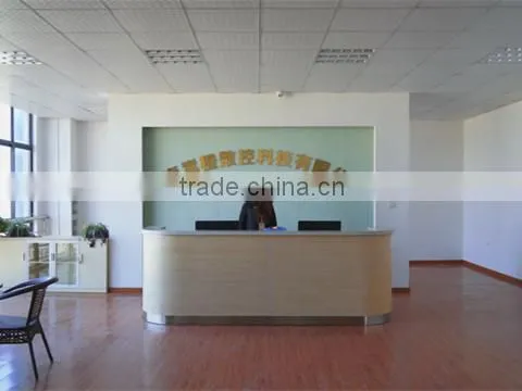 Taizhou Songwei CNC Machinery Co., Ltd. company overview - view 1