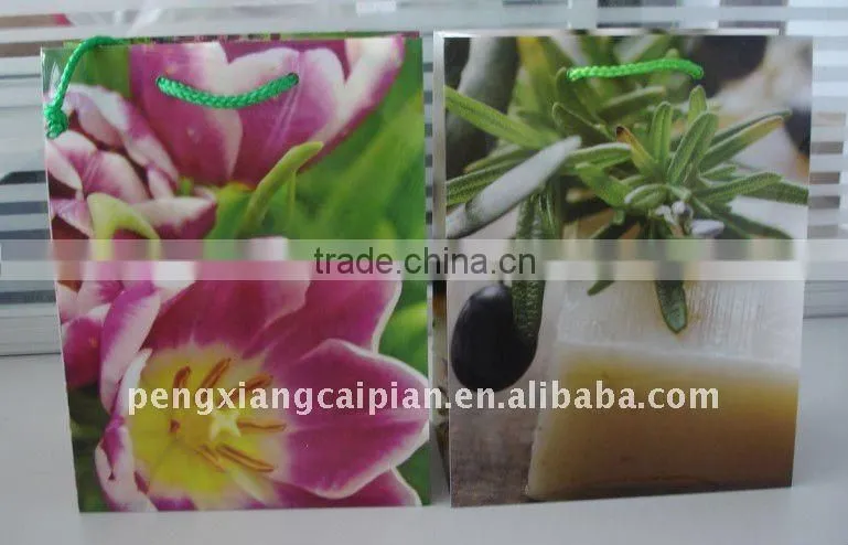 plastic handbag for daily life