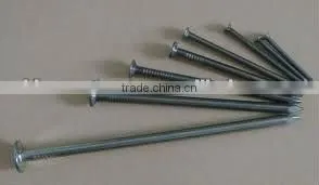 2.5 inch Common Nail