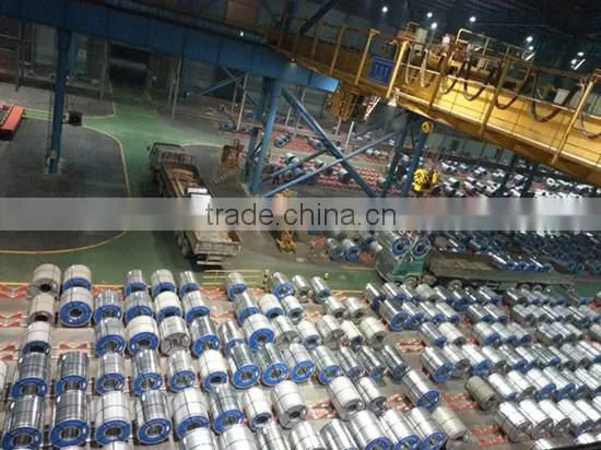 Grain oriented silicon steel sheet