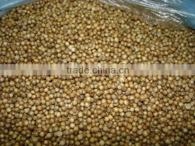 Coriander seeds