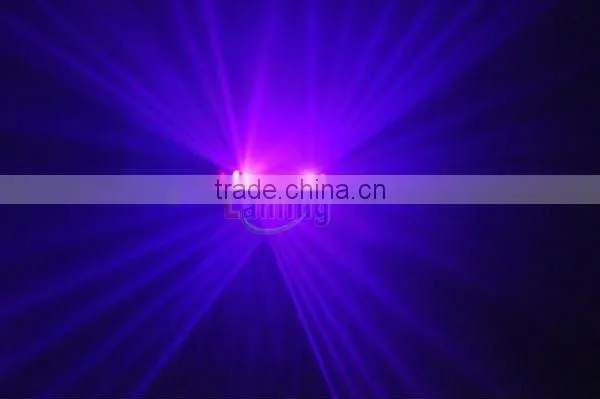 2 Lens 100mW+100mW Purple DJ Laser Light Club Party Stage Lighting with DMX