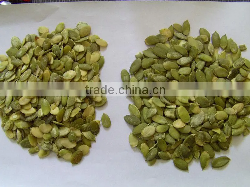 Competitive price~ 2015 new crop Shine Skin Pumpkin seeds,kernels