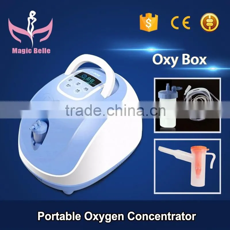 CE Certificated Portable Oxygen Making Machine Oxygen Concentrator 90% Purity Oxygen Machine for Health