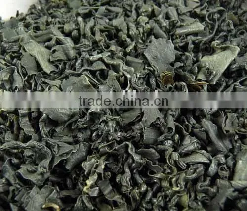 Spirulina Powder