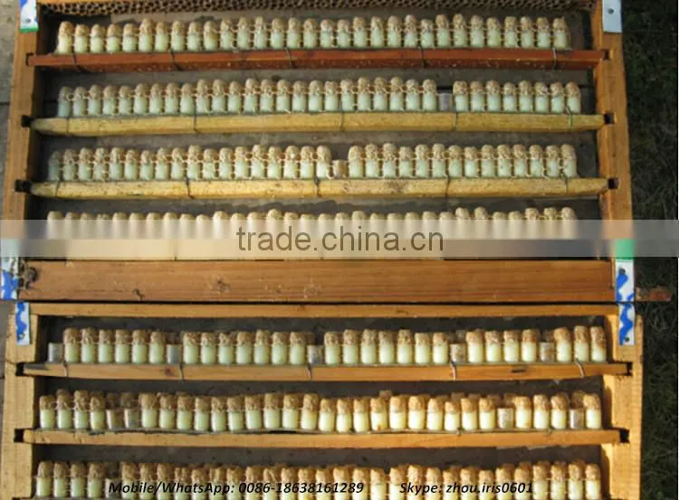 Competitive Price Fresh Organic Royal Jelly 10-hda 1.8%