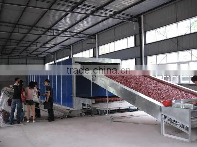 Nanyang Brand latest and cleaning hot air continuous mesh belt dry fruit machine