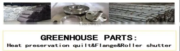 high technology Greenhouse with automatic rolling machines for sale