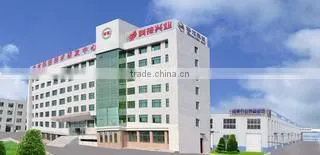 Shandong Hualong Agricultural Equipment Co., Ltd. company overview - view 1