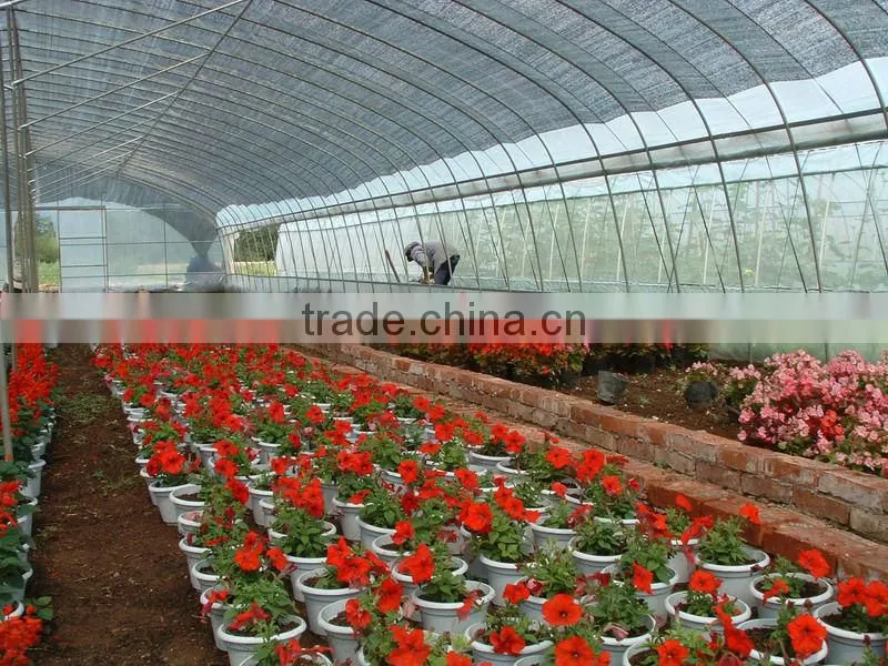Winter garden flower greenhouse tunnel film