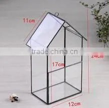 Micro landscape plant glass greenhouse clear geometric terrarium