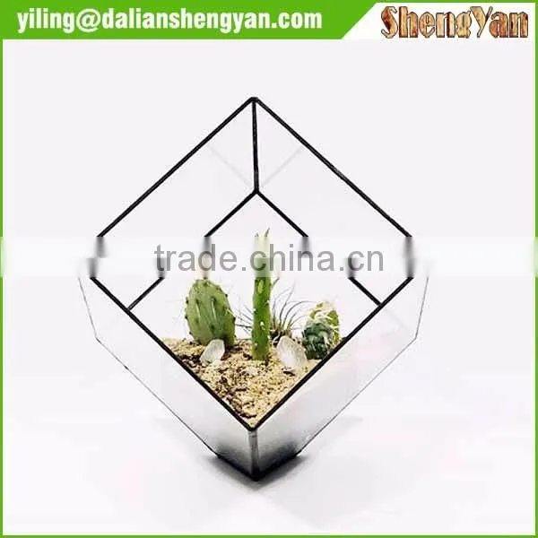The cube shape planter,geometric glass terrarium