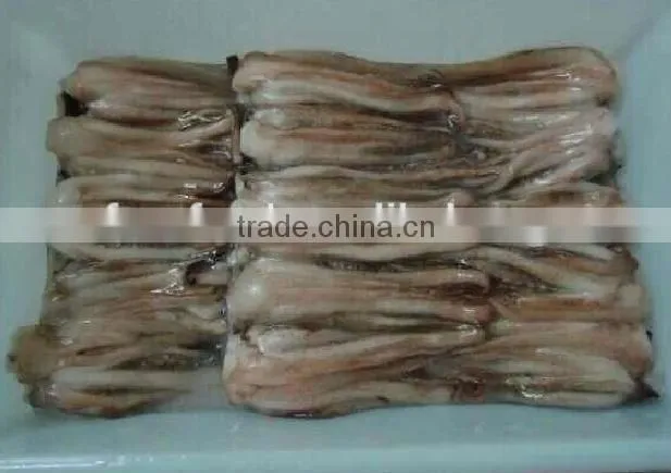 Frozen Illex Squid Tentacle