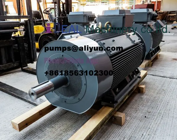 Three phase high efficiency motor IE3    315KW-2900RPM