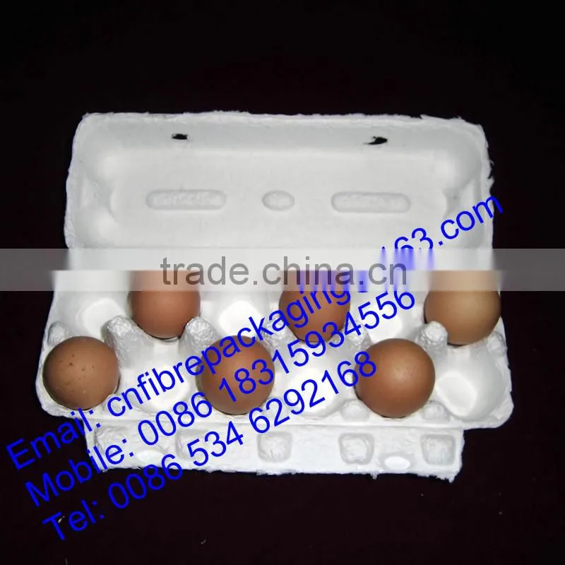 OEM Orders Eco-friendly molded paper pulp beverage tray