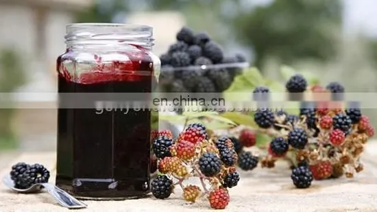 Complete strawberry jam production line / strawberry jam production plant