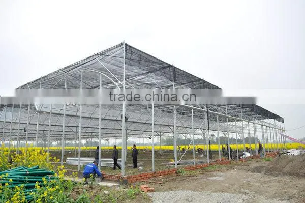 agricultural greenhouses for tomato