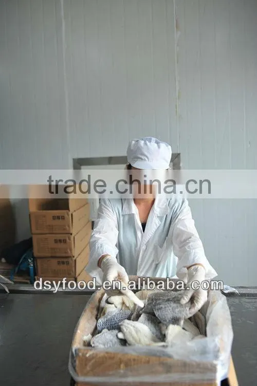 Frozen Fresh Red Tilapia Fish WR
