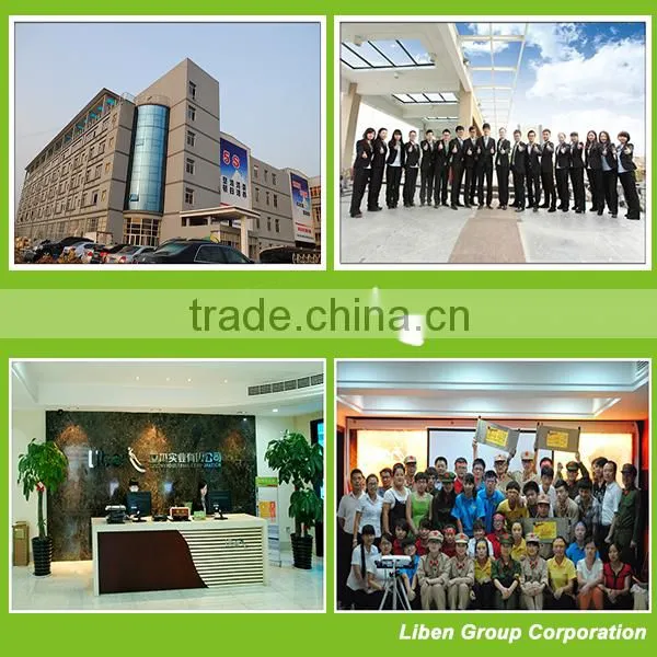 China Top One Artificial Grass manufacturer