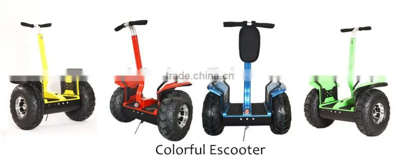 Lithium Battery 2 Wheel Electric Balancing Scooter for Renting