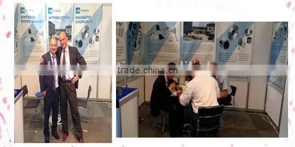 Competitive prices customized Permanent Power Alnico Magnet