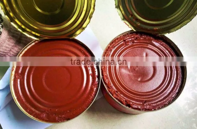 Double Concentrate Canned Tomato Paste Factory Size 70g~3000g.