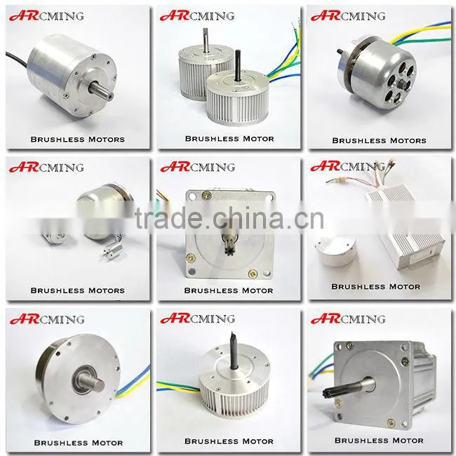 3000w variable speed brushless dc motor