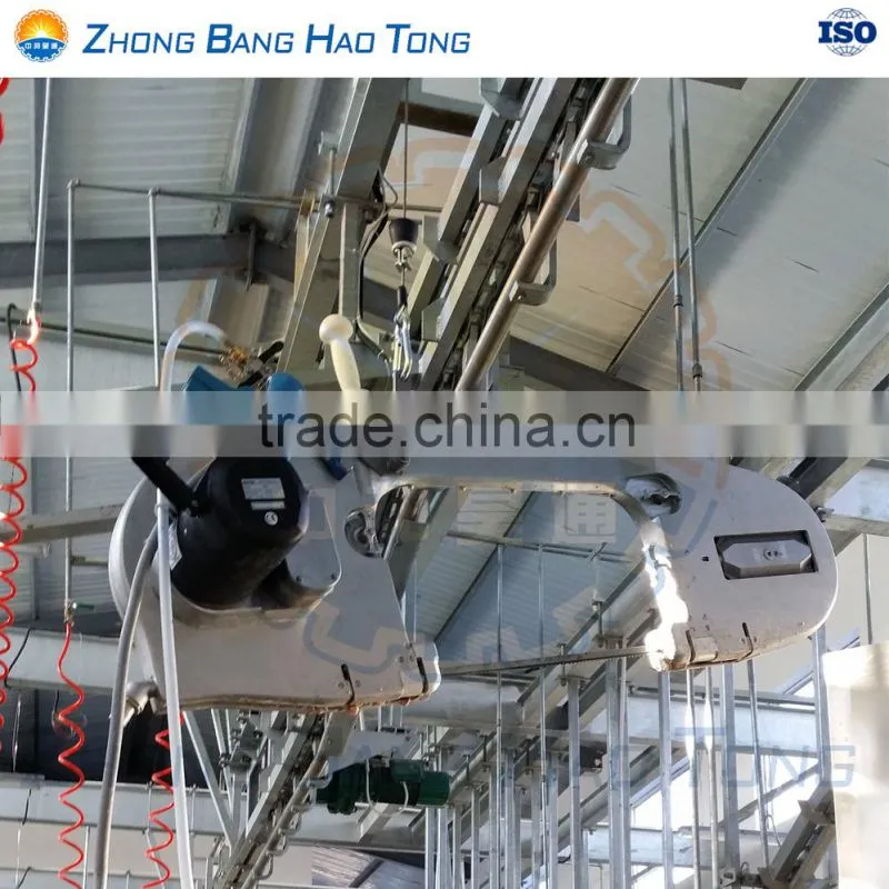 Live Cattle Weighing Scale for cattle slaughtering line