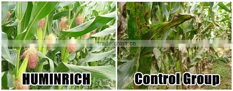FAQ 18--Application Of Water-Soluble Fertilizer In Agriculture