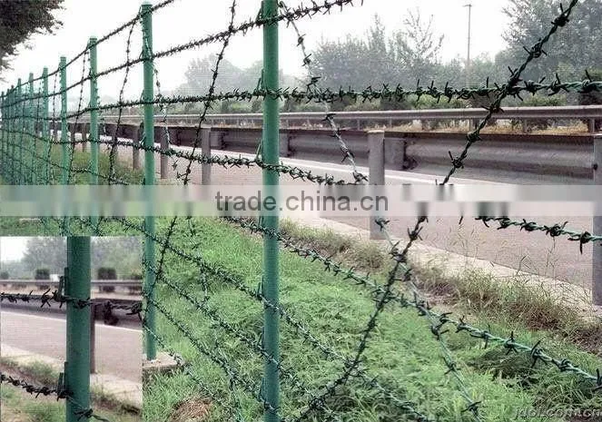 colored barbed wire