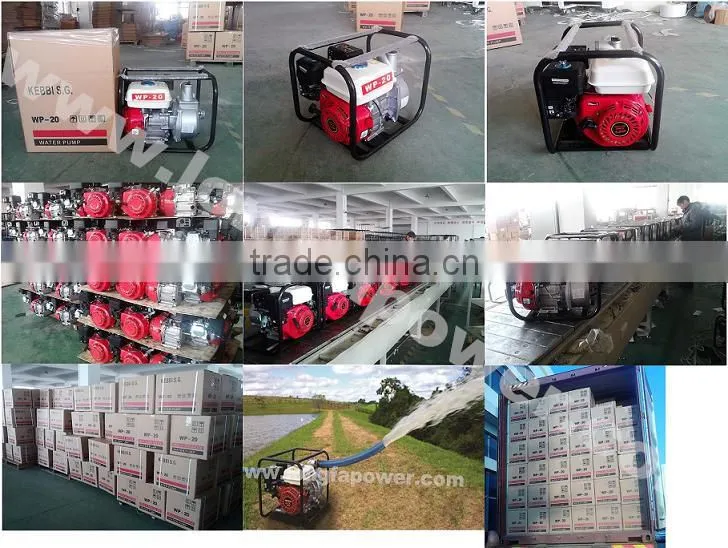 Agriculture Kerosene Petrol Water Pump Price