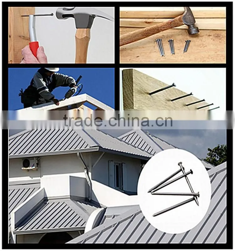 Common Wire Nails Building Material Sizes