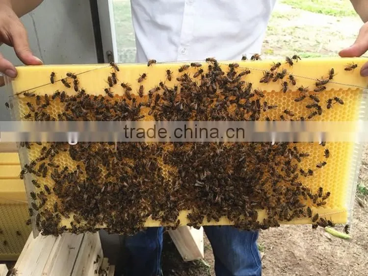 plastic hive , beehive for sale