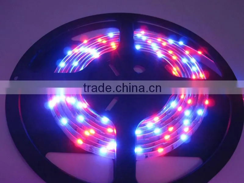 Hot Sale Led Strip Light SMD335 60leds/m 335 Flexible Led Strip