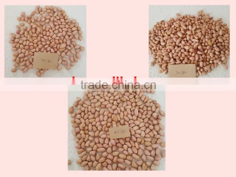 Blanched peanut kernel/Peanuts in red shell/Peanut kernels