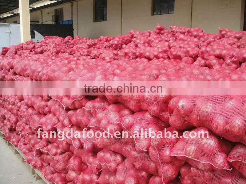 lowest price fresh red onion,fresh red big onion