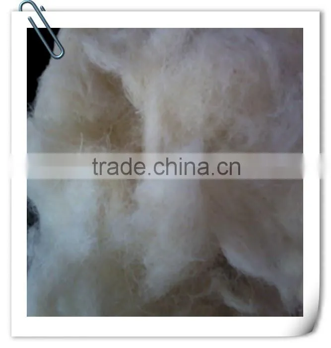 Spring promotion Comber noil for Carpet and Mattress making