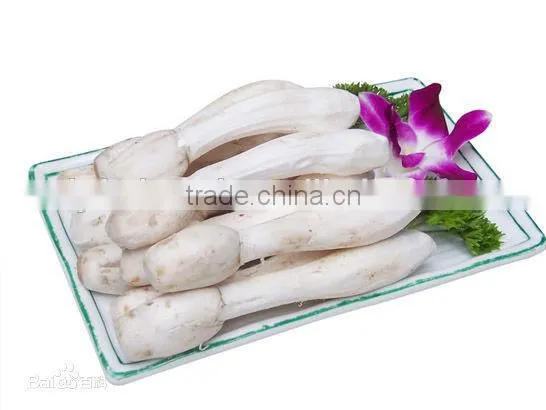 Grade A Dry Boletus Edulis Slice Dry Wild Mushroom