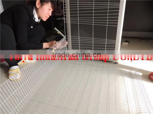 TAIYU Foreign Agent Farm Quail Visit Customers Every Year