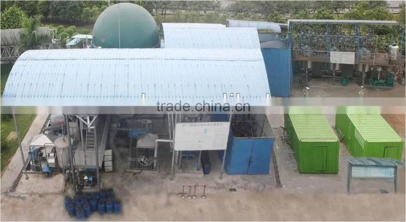 500KW/1MW New Energy Waste Biomass Power Plant/Biogas Generation Project